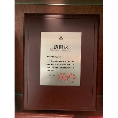 名家书画作品义卖捐赠活动感谢状